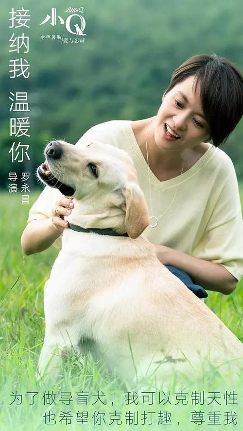 制作仿真一级国家裁判员证
